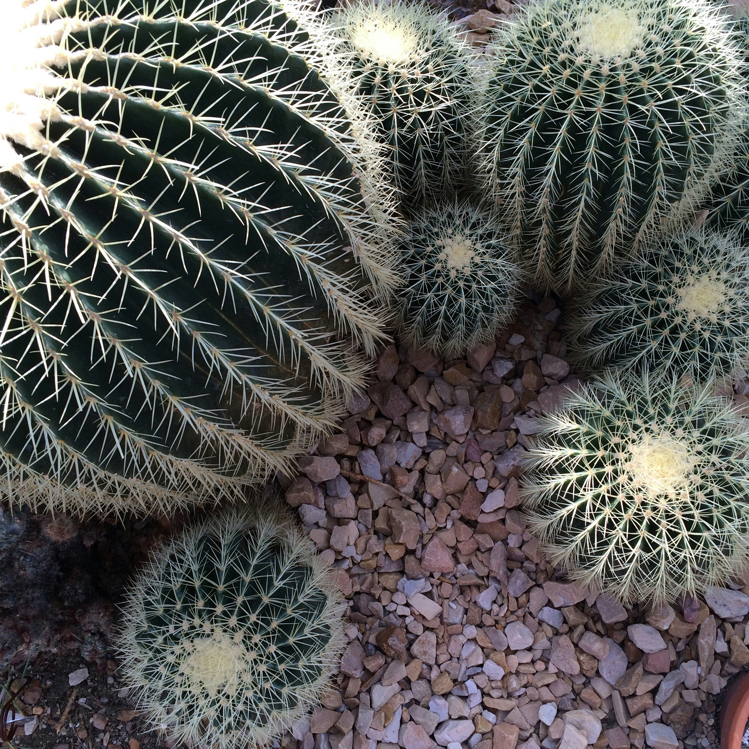 Free Unsplash photo from courtney whitemore