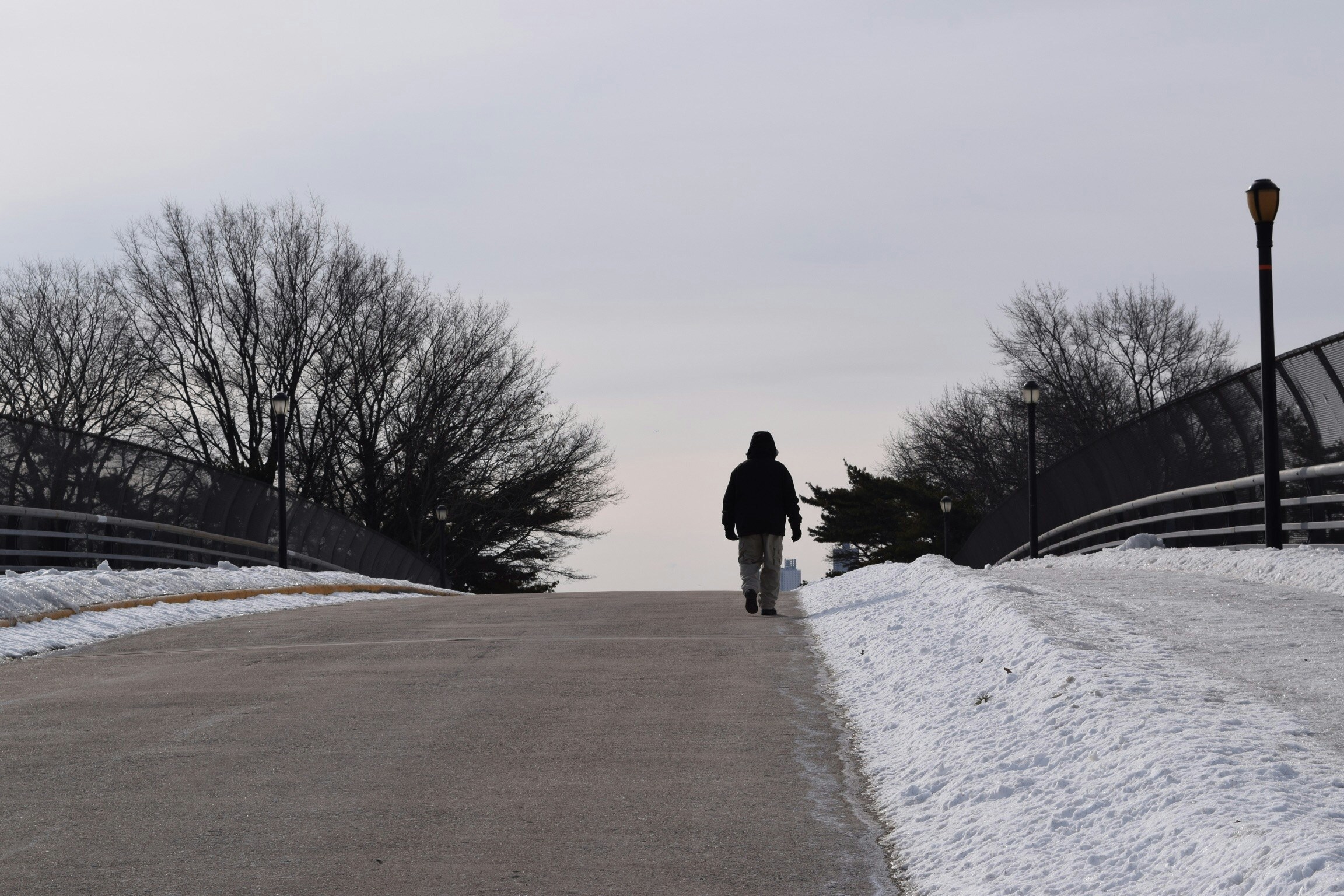 Free Unsplash photo from Humberto  Dominguez