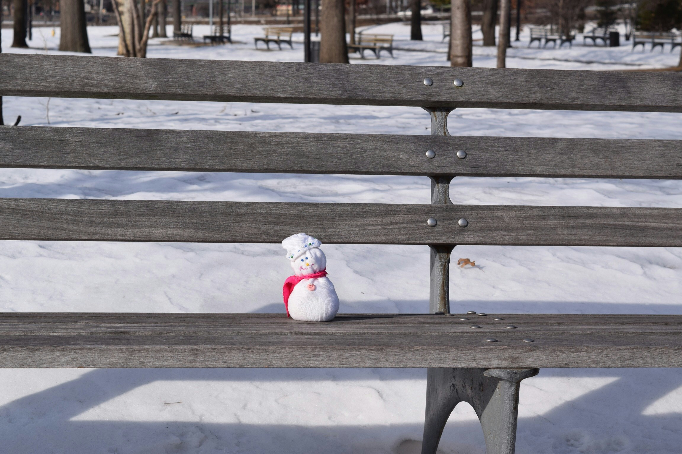 Free Unsplash photo from Humberto  Dominguez