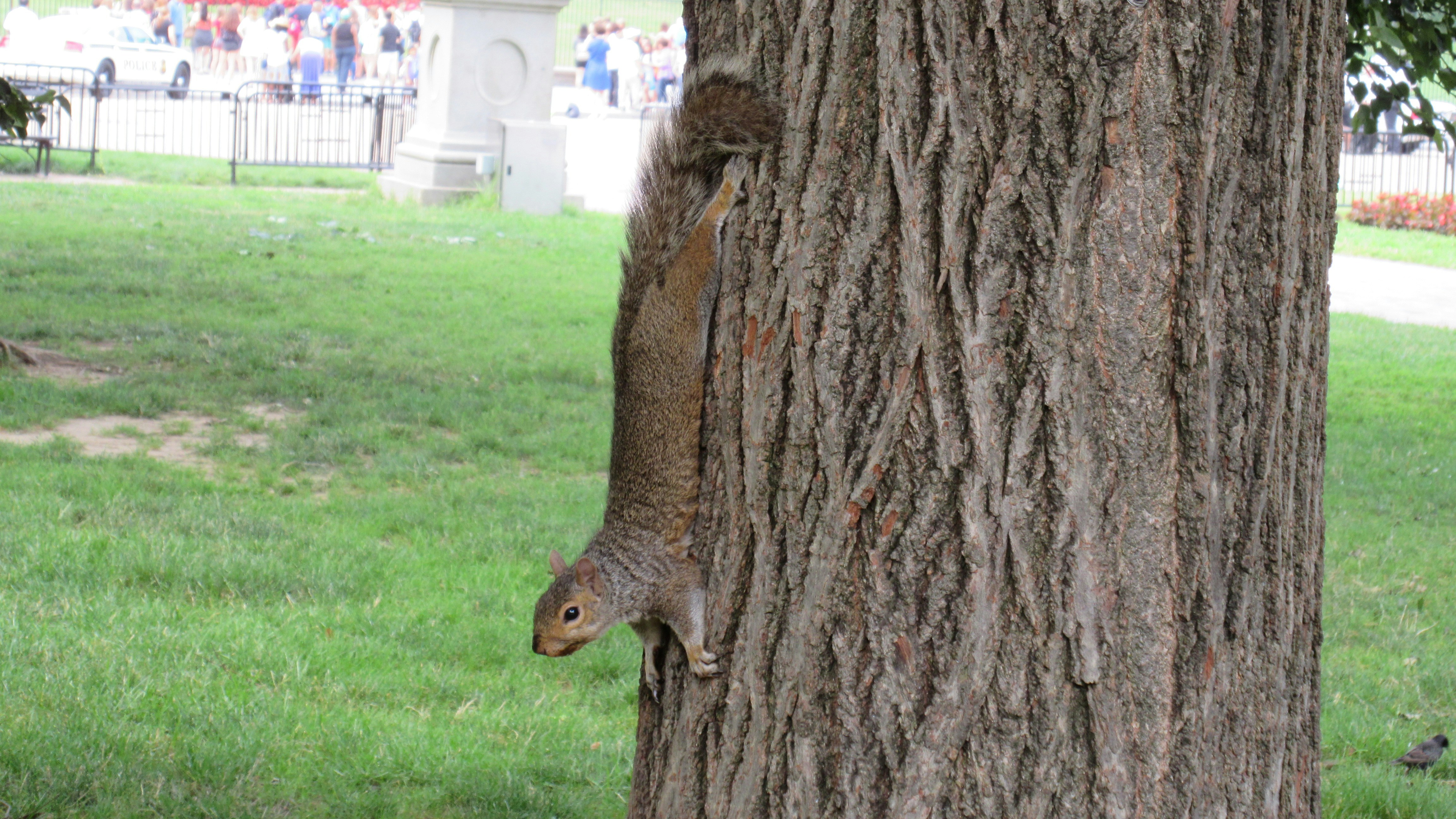 Free Unsplash photo from Rasmus Engholm