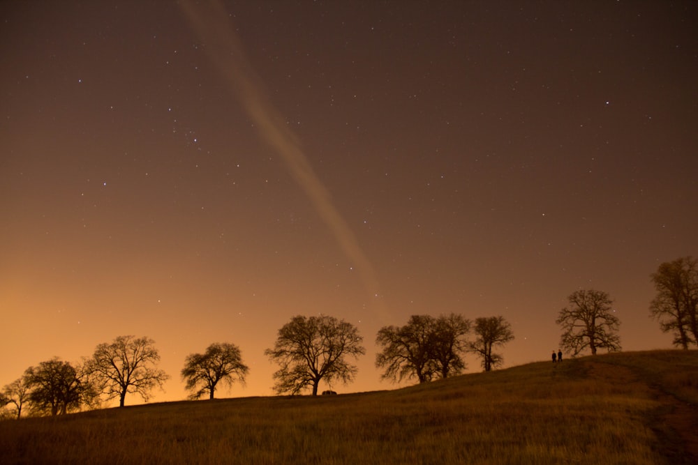 silhouette of trees and brown grass field