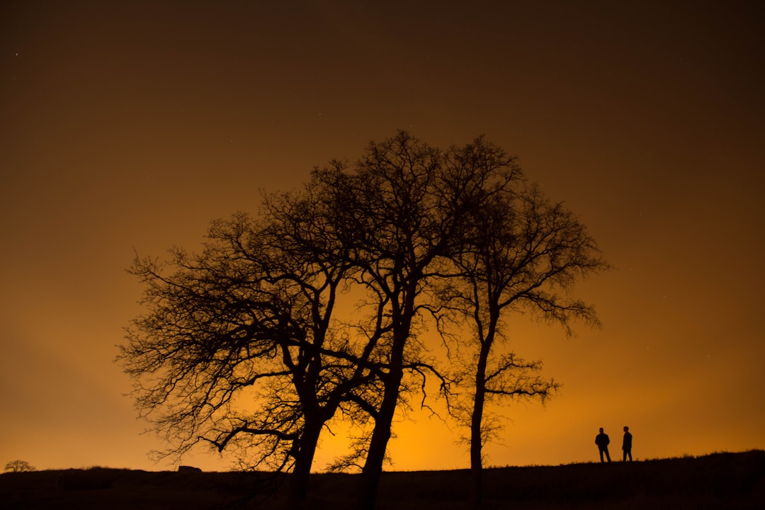 silhouette of man and woman near trees