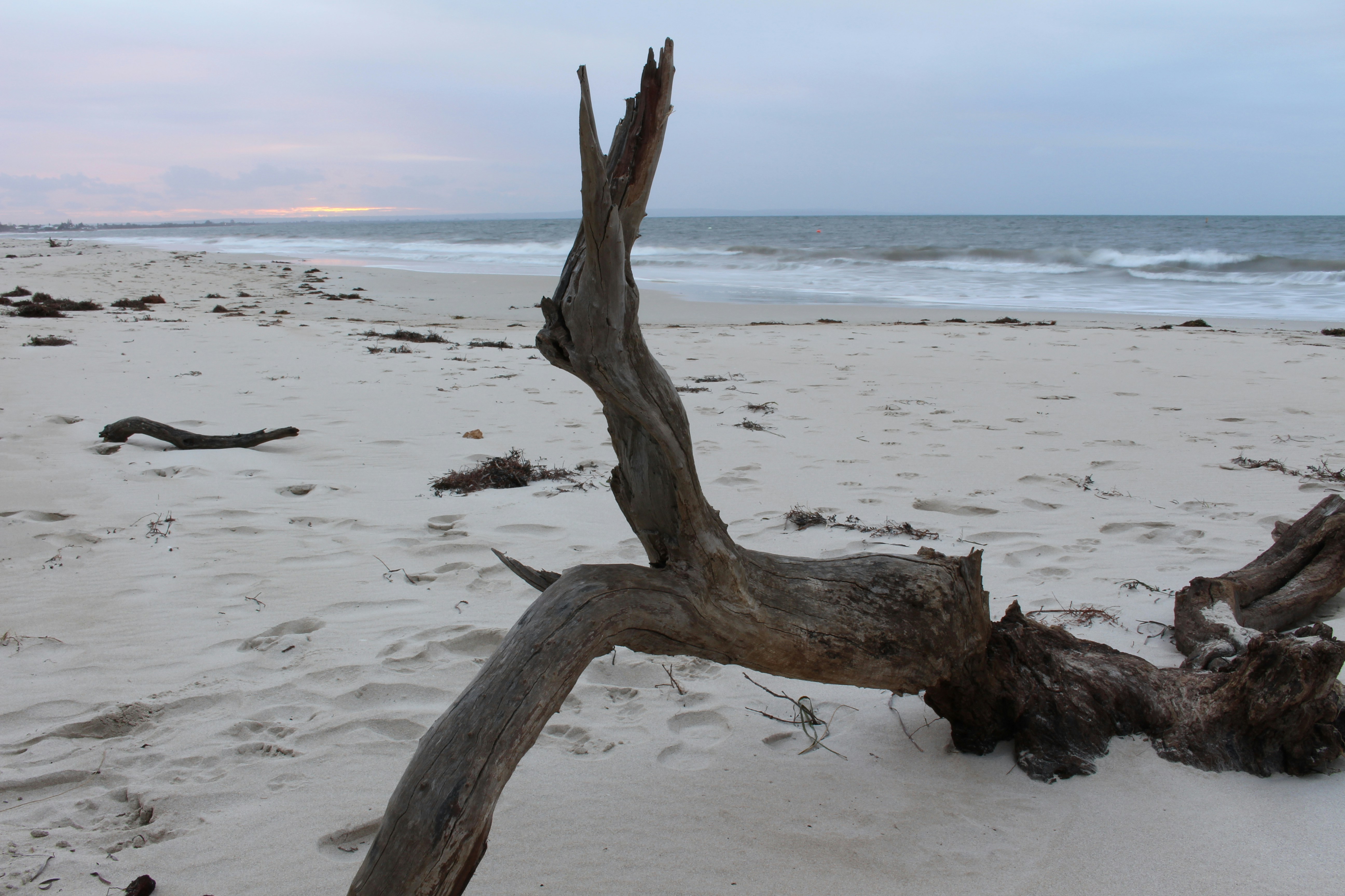 Free Unsplash photo from Pete B