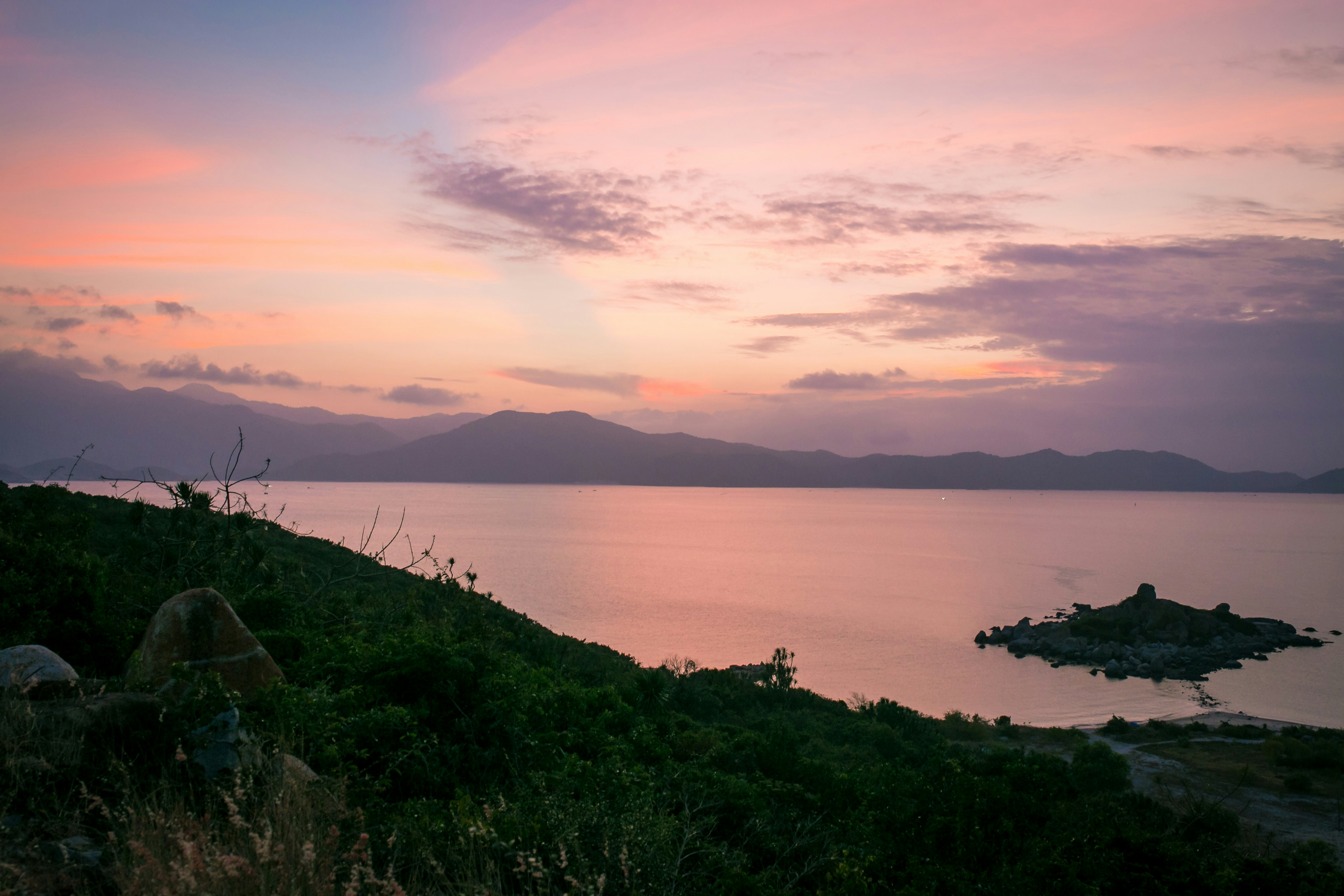 Free Unsplash photo from Thong Vo