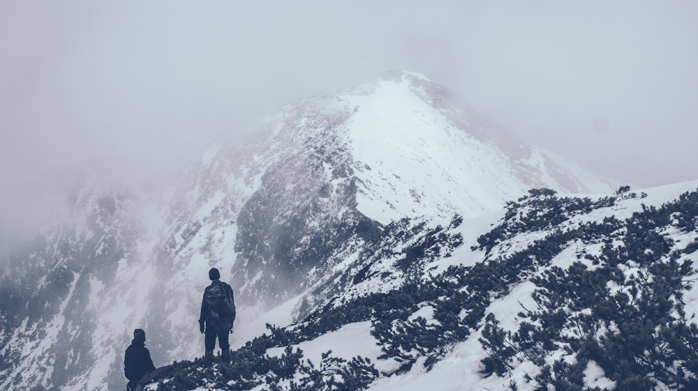 people standing on top of mountain