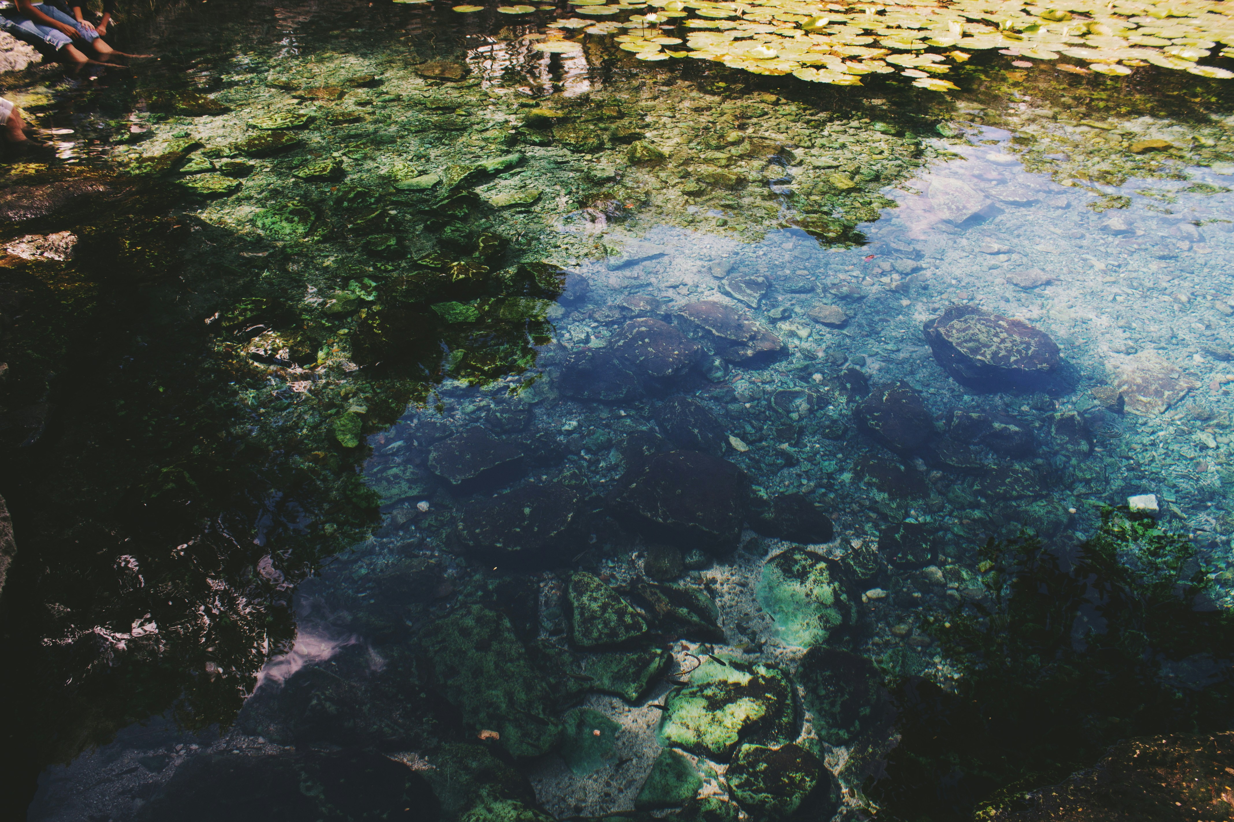 Free Unsplash photo from Beatriz Polanco