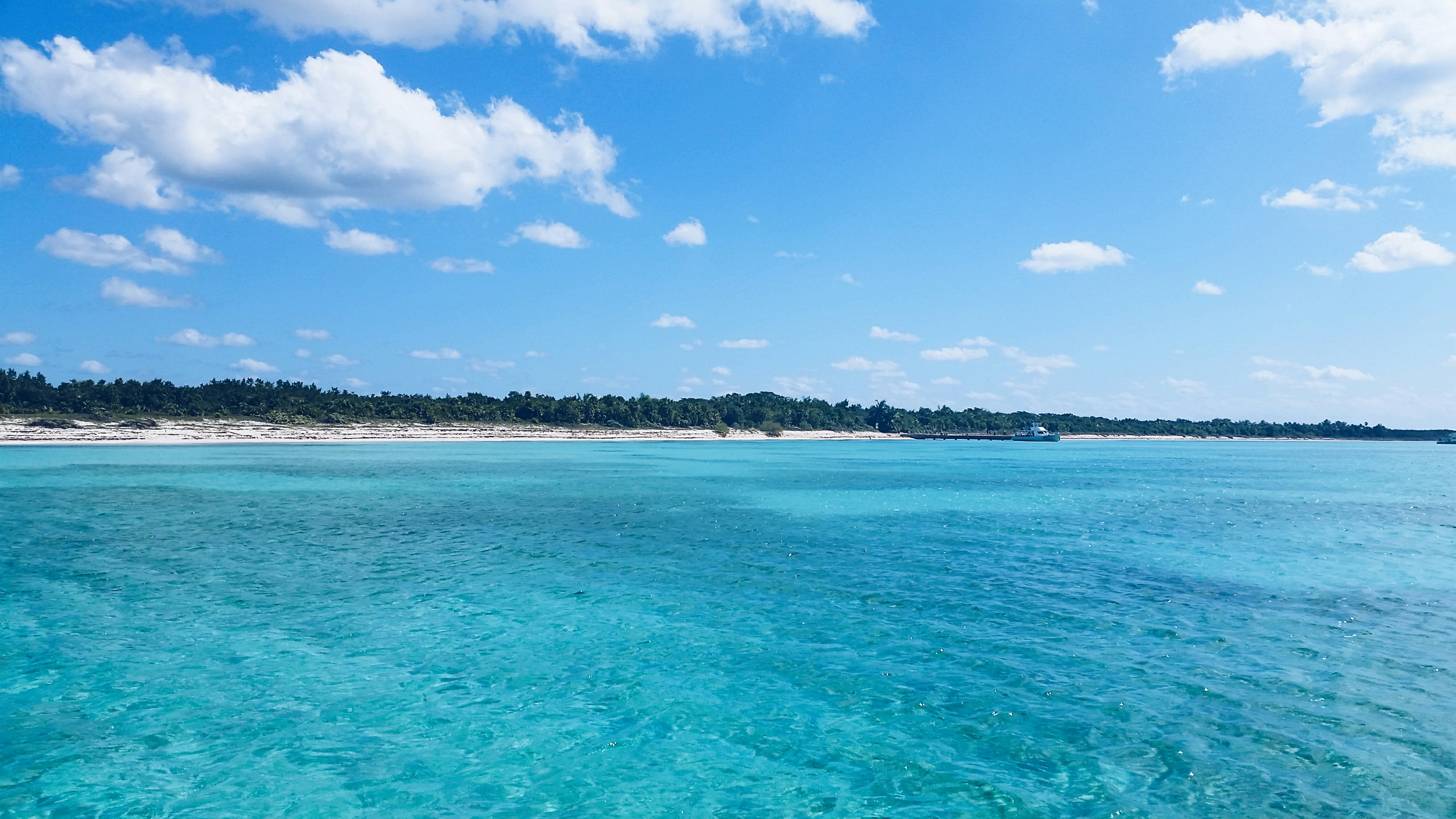 Free Unsplash photo from Beatriz Polanco