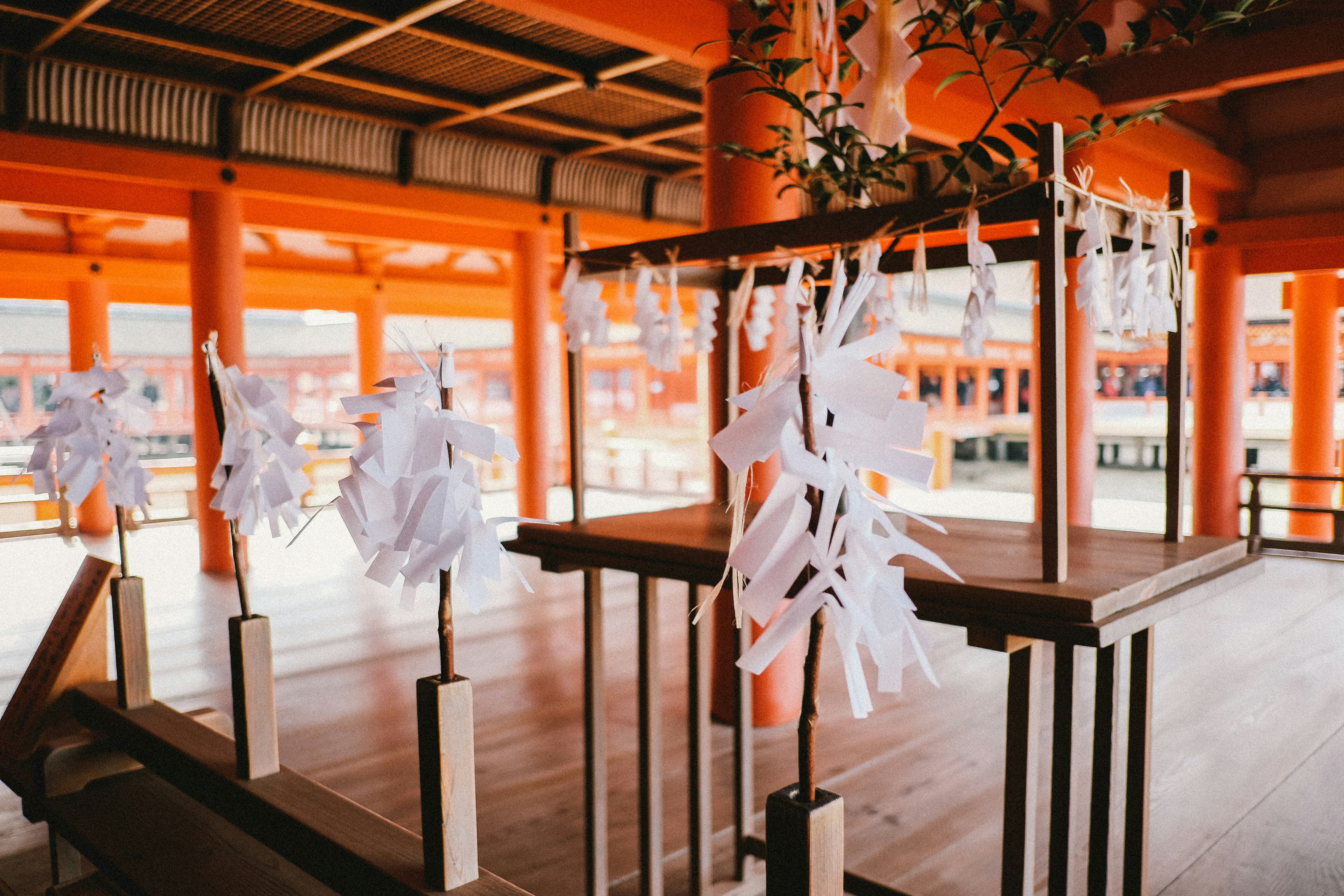 Free Unsplash photo from Woratana Ngarmtrakulchol