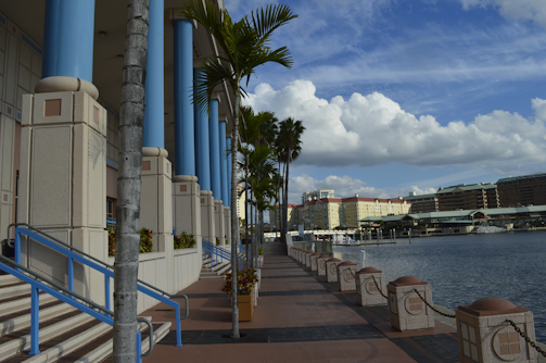 A serene waterfront promenade in Zhuhai with palm trees and modern buildings.