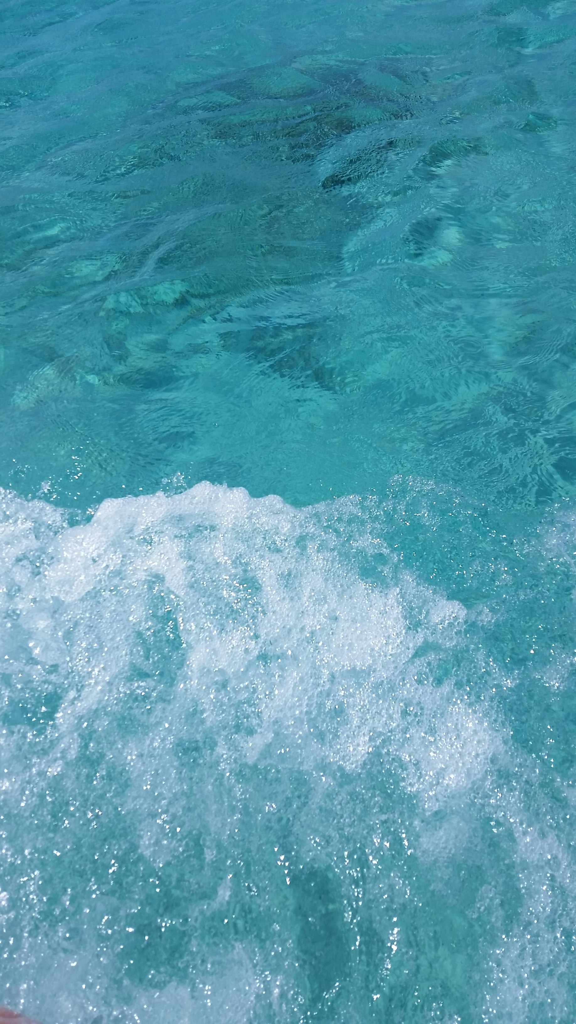 Free Unsplash photo from Beatriz Polanco