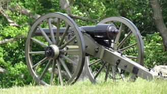 An old-fashioned cannon is positioned on a grassy field, surrounded by dense, green foliage. The cannon is constructed from metal and wood, featuring large spoked wheels and a long barrel. The setting suggests a historical or outdoor theme, with natural elements like trees and grass complementing the scene.