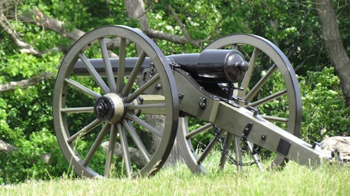 An old-fashioned cannon is positioned on a grassy field, surrounded by dense, green foliage. The cannon is constructed from metal and wood, featuring large spoked wheels and a long barrel. The setting suggests a historical or outdoor theme, with natural elements like trees and grass complementing the scene.