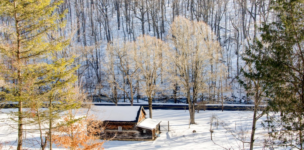 cabin in snow forest