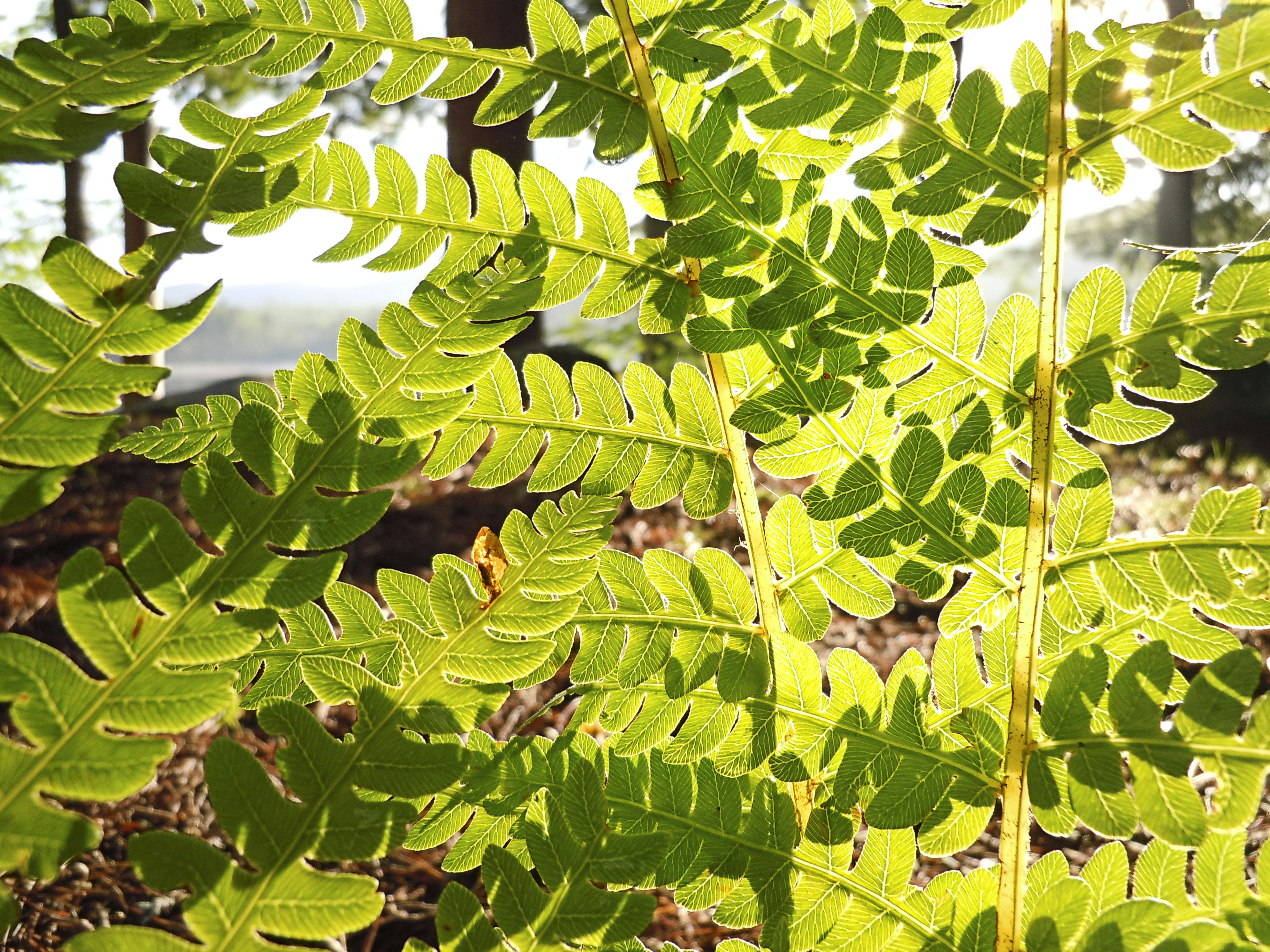 Free Unsplash photo from Peter Kogut