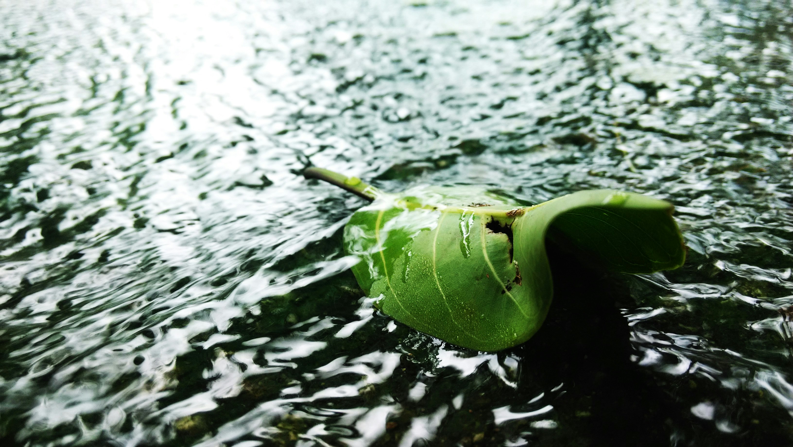 Free Unsplash photo from yucheng he