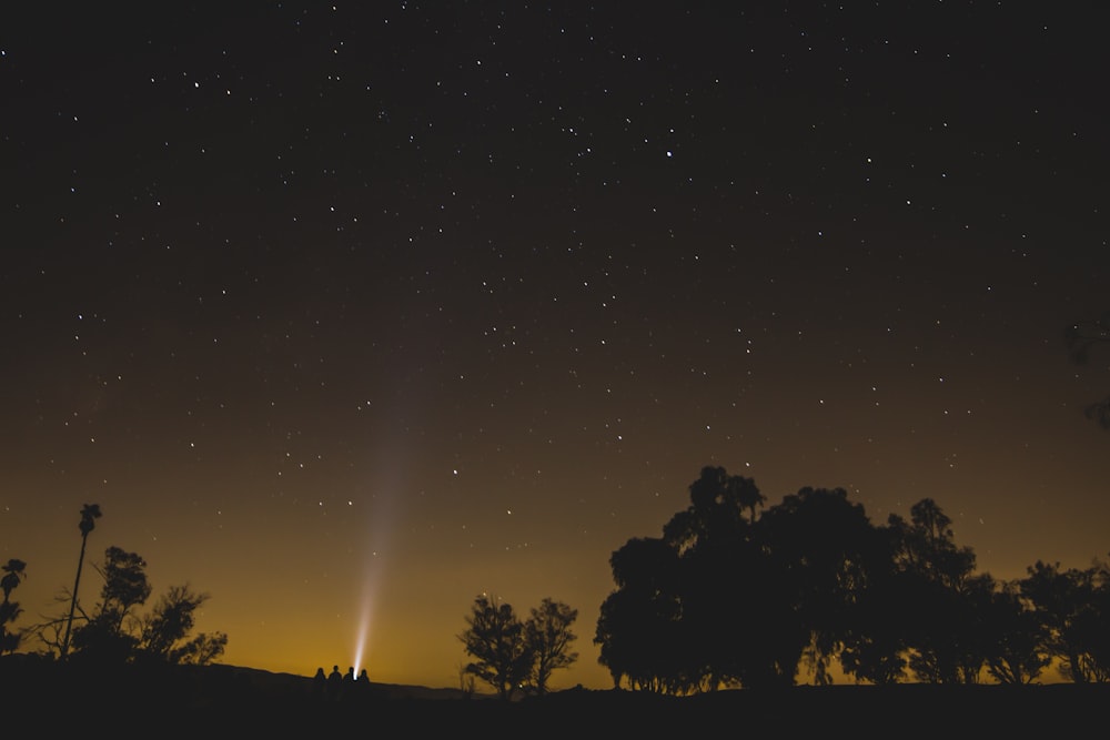 silhueta de quatro pessoas sob o céu estrelado