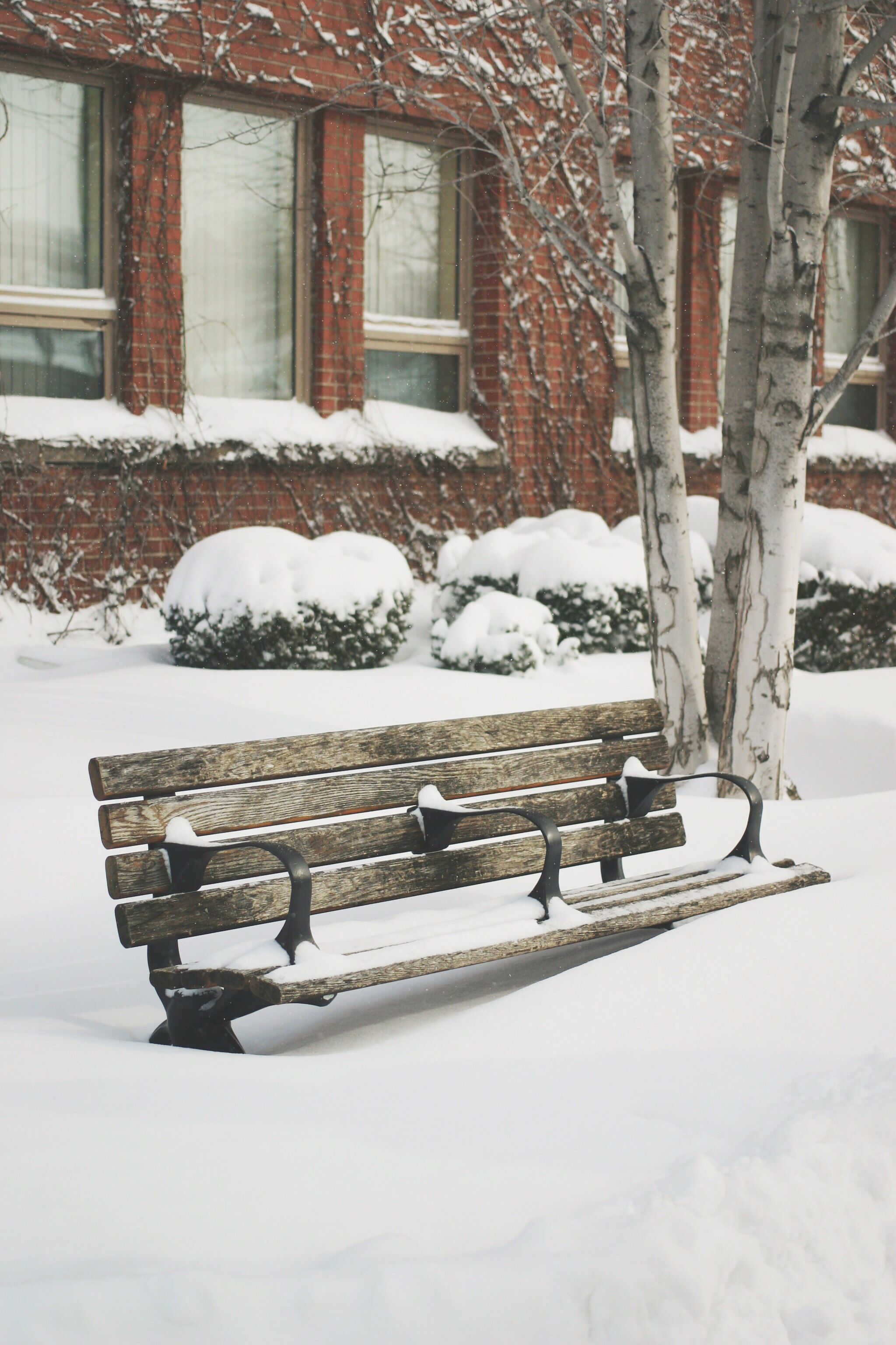 Free Unsplash photo from Rahul Bhagat