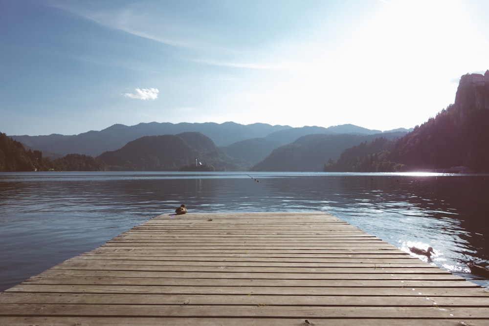 Hölzernes Dock unter klarem Himmel