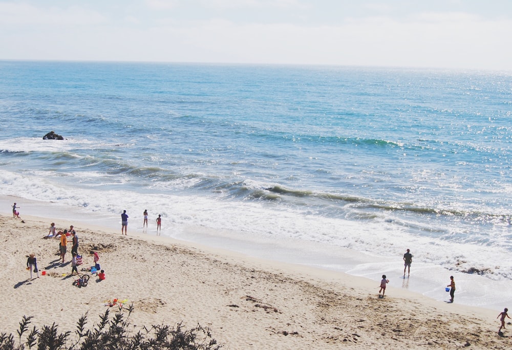 group of people standing on seashore