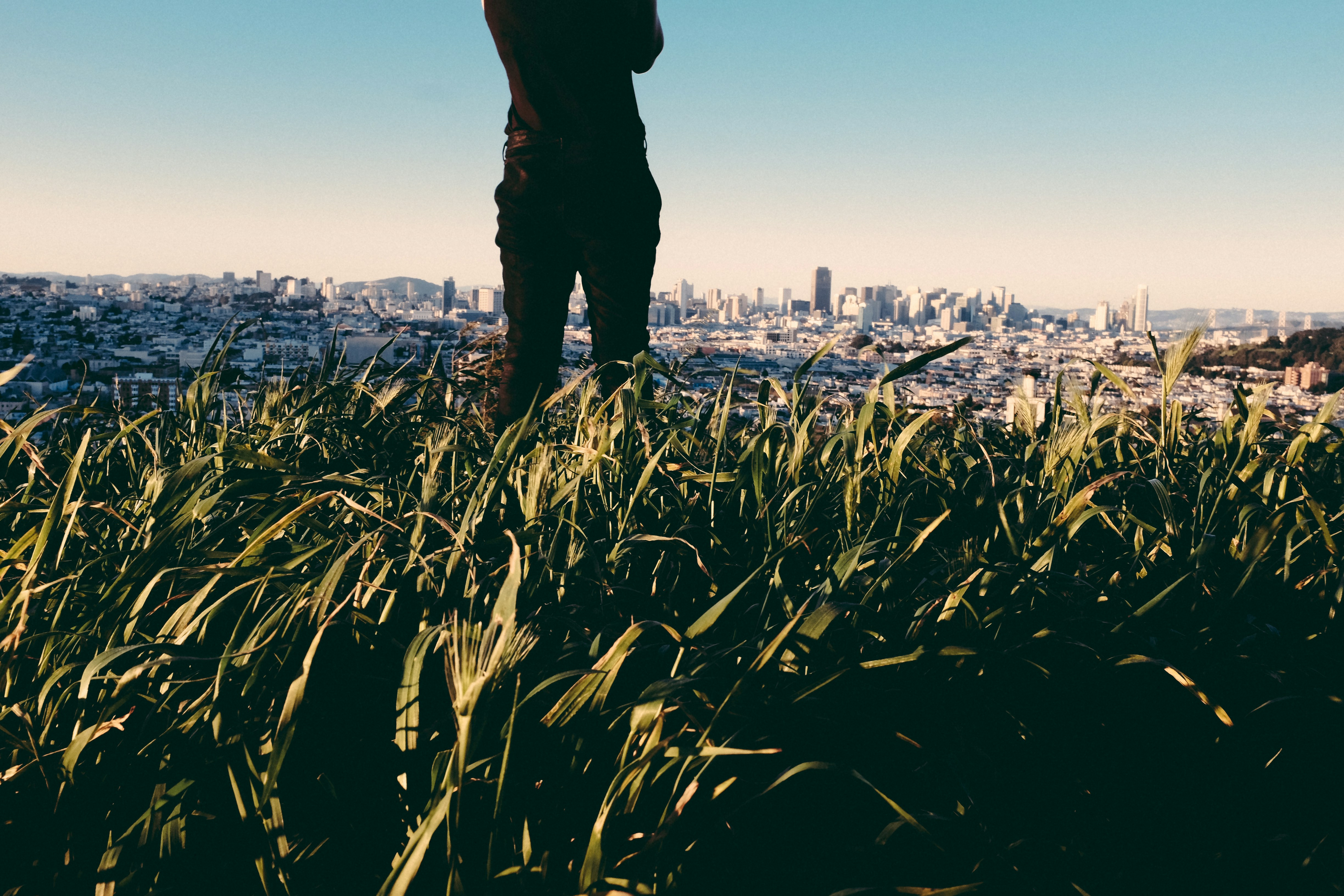 Free Unsplash photo from Israel Sundseth