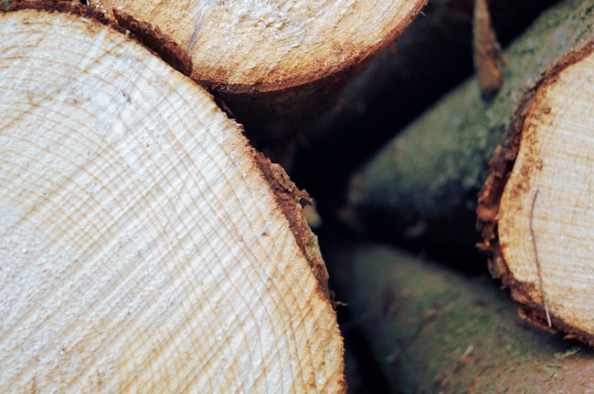 Close-up of freshly sawn eucalyptus timber planks stacked neatly on the farm.