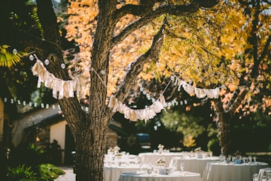 orange leafed tree with orange banderittas