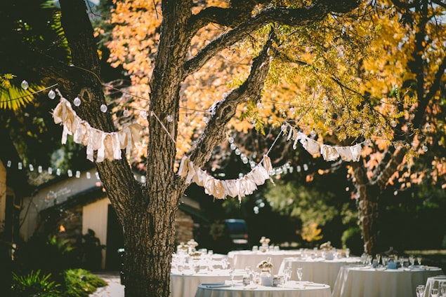 orange leafed tree with orange banderittas