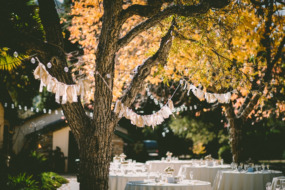 orange leafed tree with orange banderittas