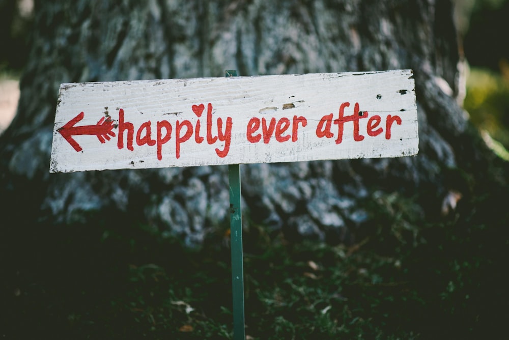 gray and red happily ever after wooden signage.