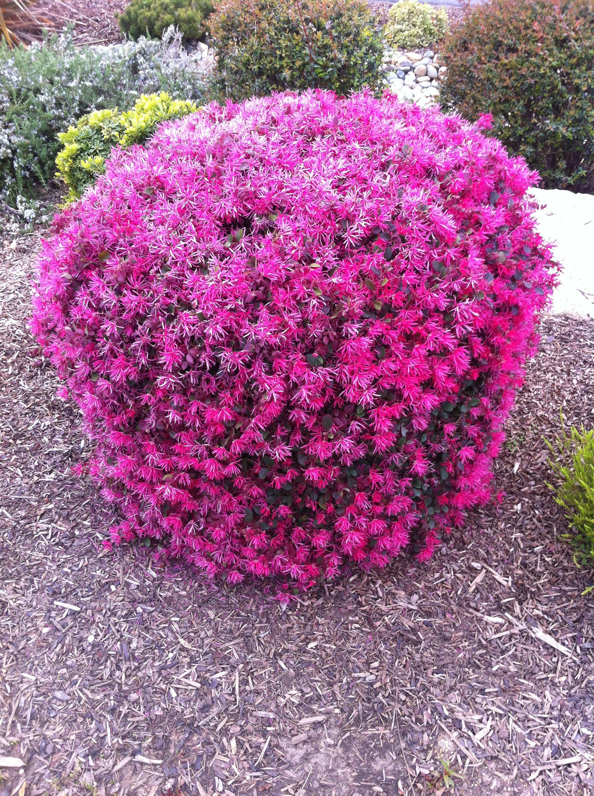 Free Unsplash photo from Evan Andreae