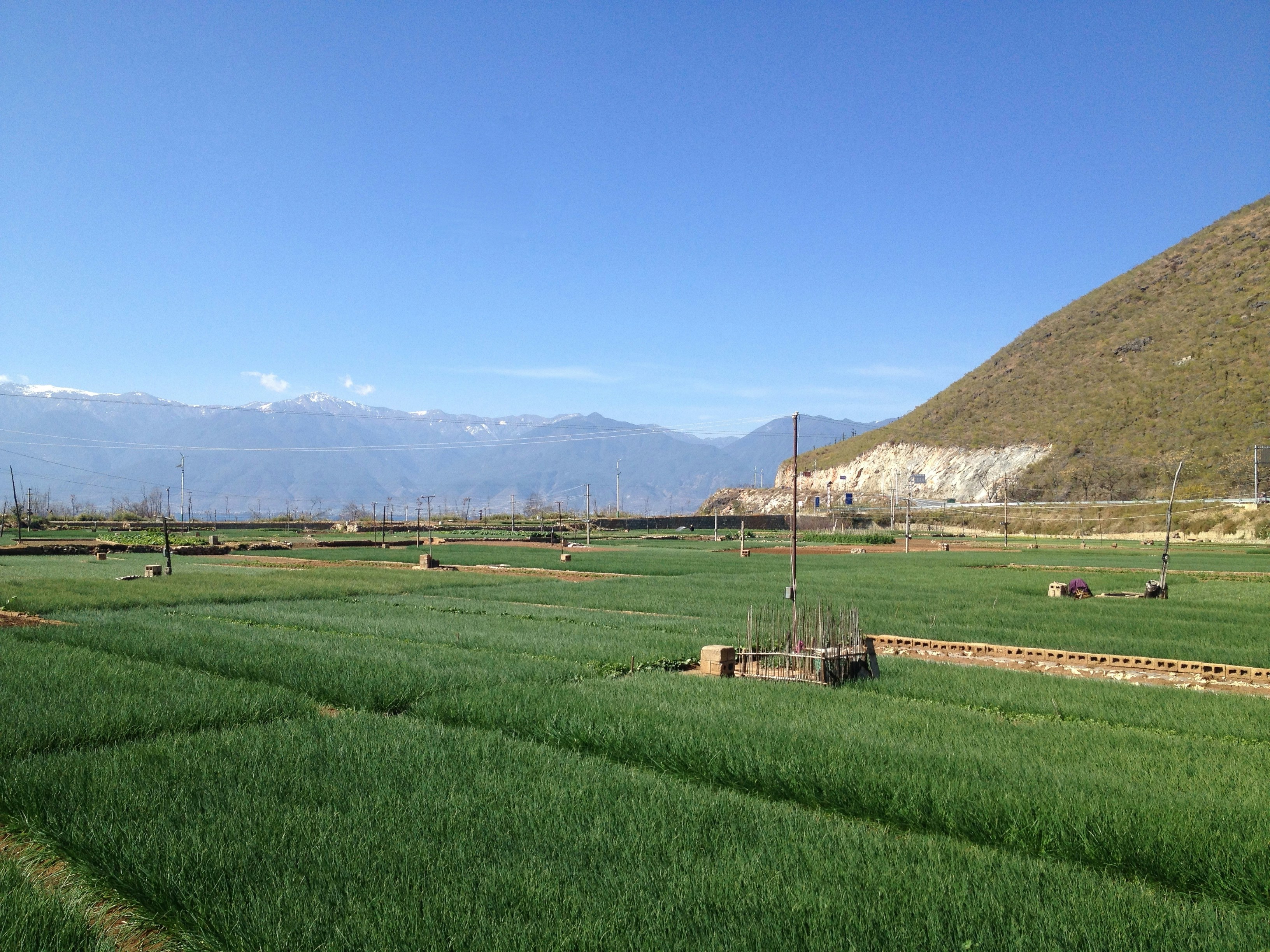 Free Unsplash photo from Jean-Baptiste Roux