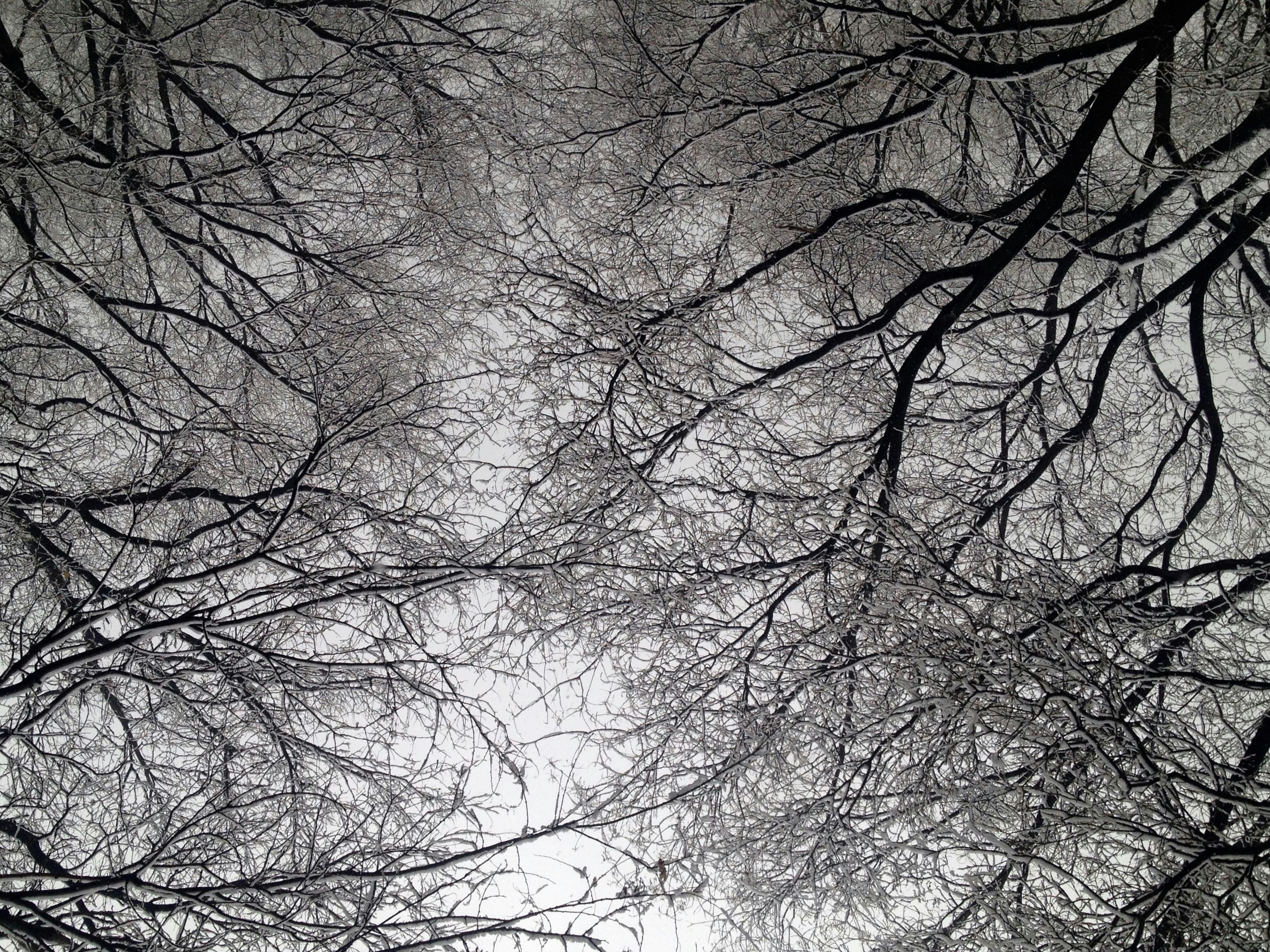 Free Unsplash photo from Jean-Baptiste Roux