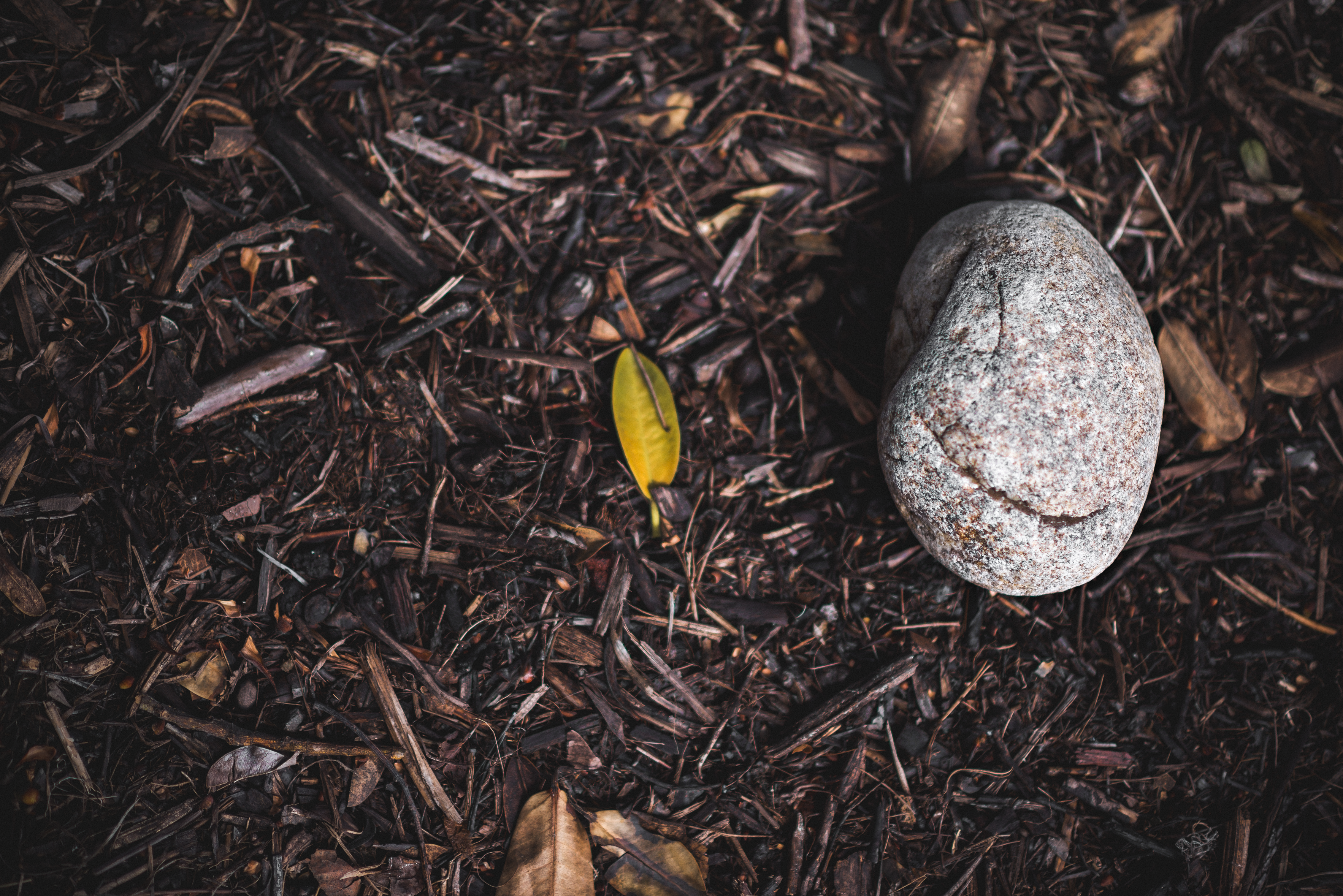 Free Unsplash photo from Gabrielle Graphics