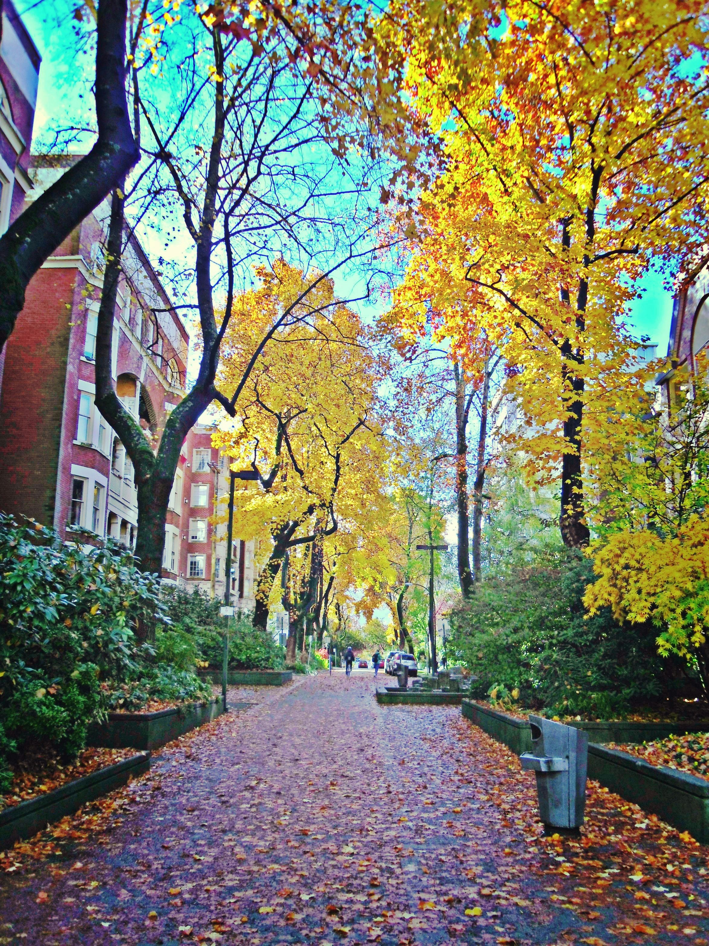 가을 도심 산책로: 도시 속 자연을 만끽하다