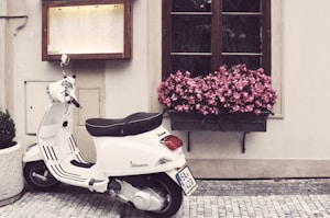 Honda Elite