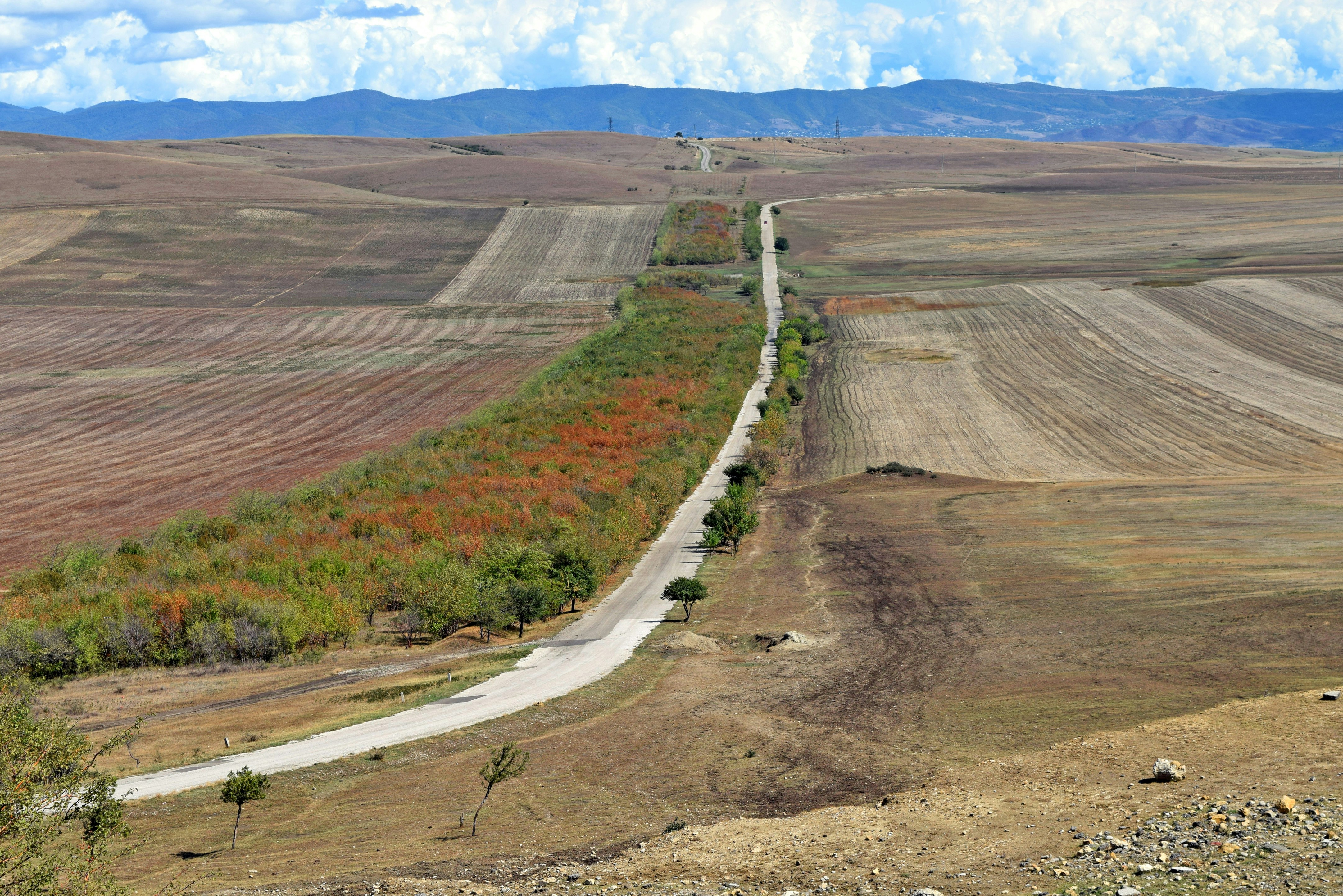 Free Unsplash photo from Zacqary Adam Xeper