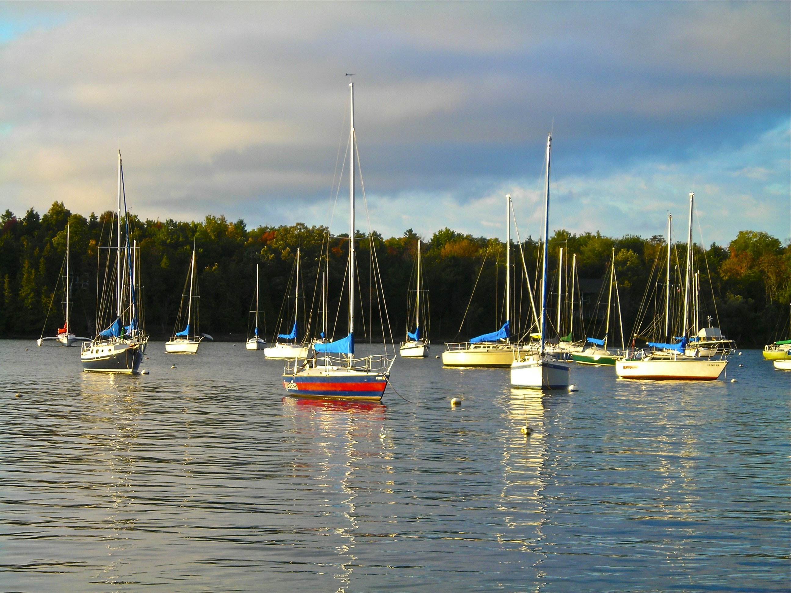 Free Unsplash photo from Peter Kogut