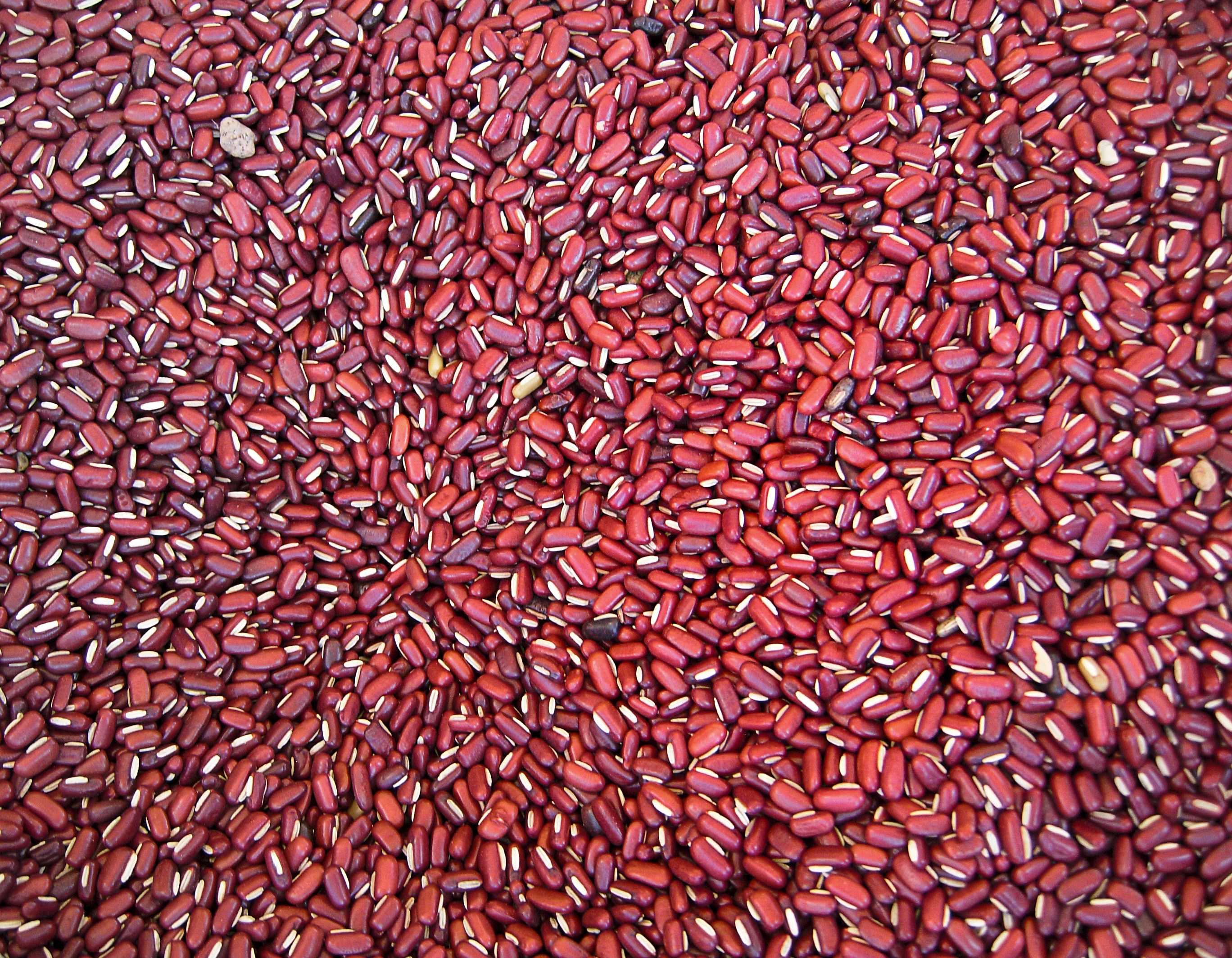 Free Unsplash photo from Peter Kogut