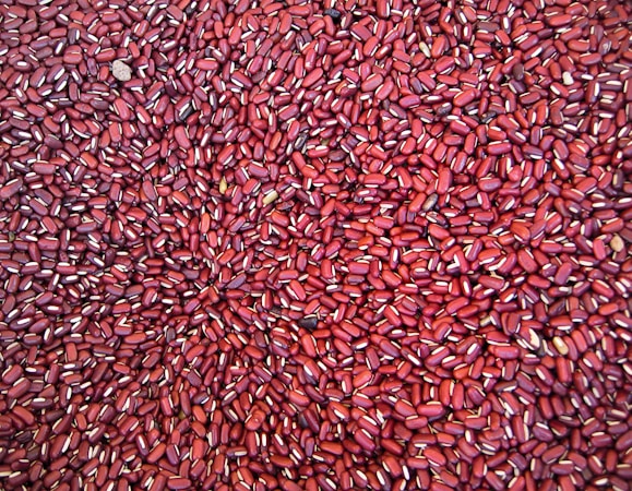 Essential Resources for Kidney Disease Care