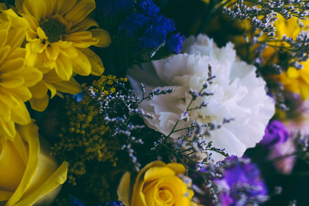 bouquet of assorted-color flowers