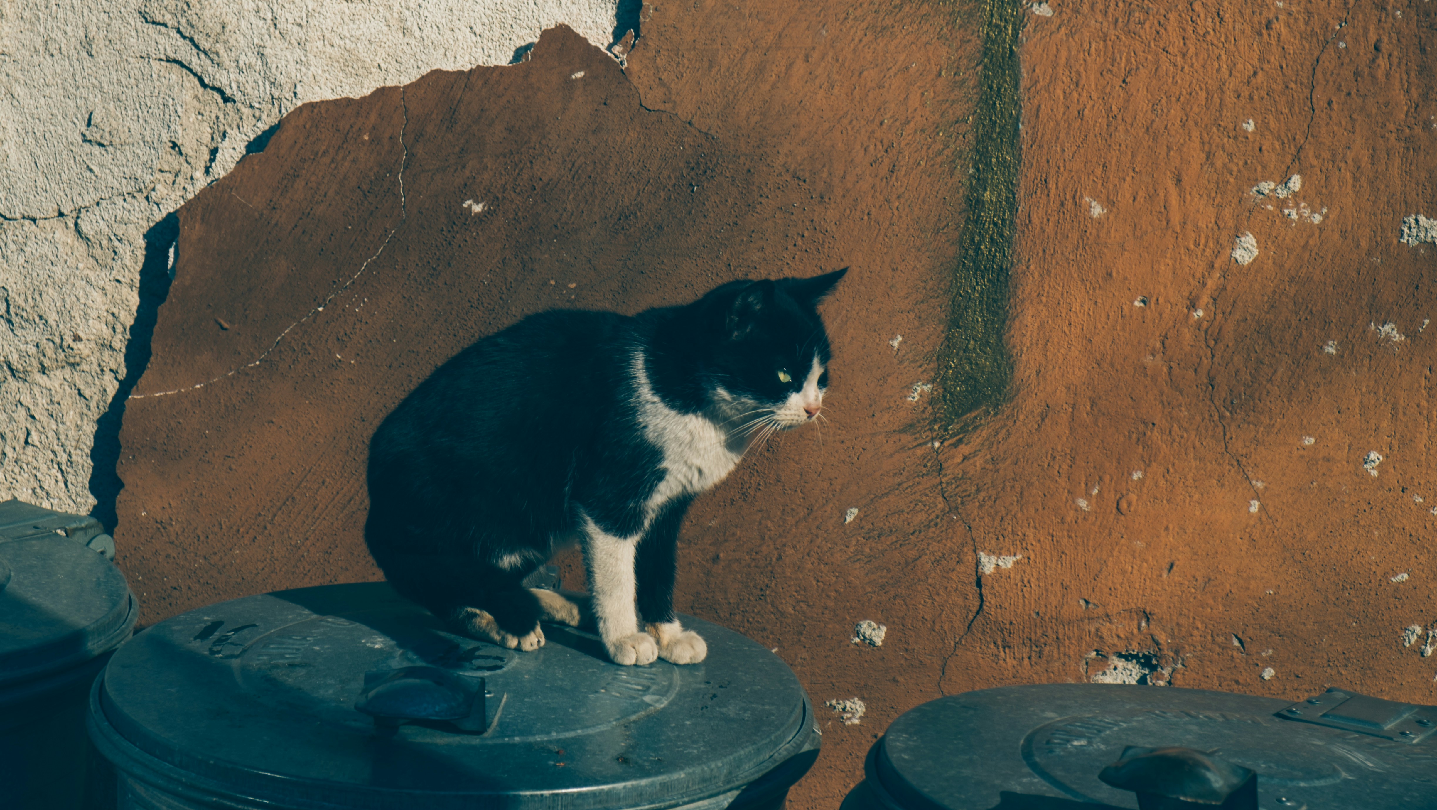 Free Unsplash photo from Alex Dimitrov