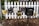 A group of five mailboxes is mounted on black metal posts in front of a white picket fence. There are various designs and sizes, some vintage-looking, with addresses visible on each. Fallen leaves are scattered on the ground around the base of the fence.