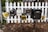 A group of five mailboxes is mounted on black metal posts in front of a white picket fence. There are various designs and sizes, some vintage-looking, with addresses visible on each. Fallen leaves are scattered on the ground around the base of the fence.