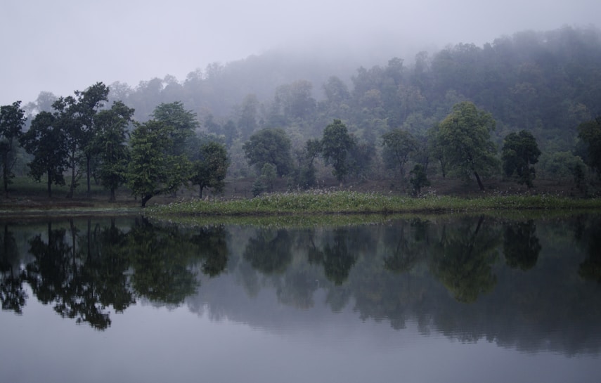 A serene landscape features a tranquil lake reflecting the line of lush, green trees along its bank. Mist gently shrouds the forested hillside in the background, creating a peaceful and mystical atmosphere.