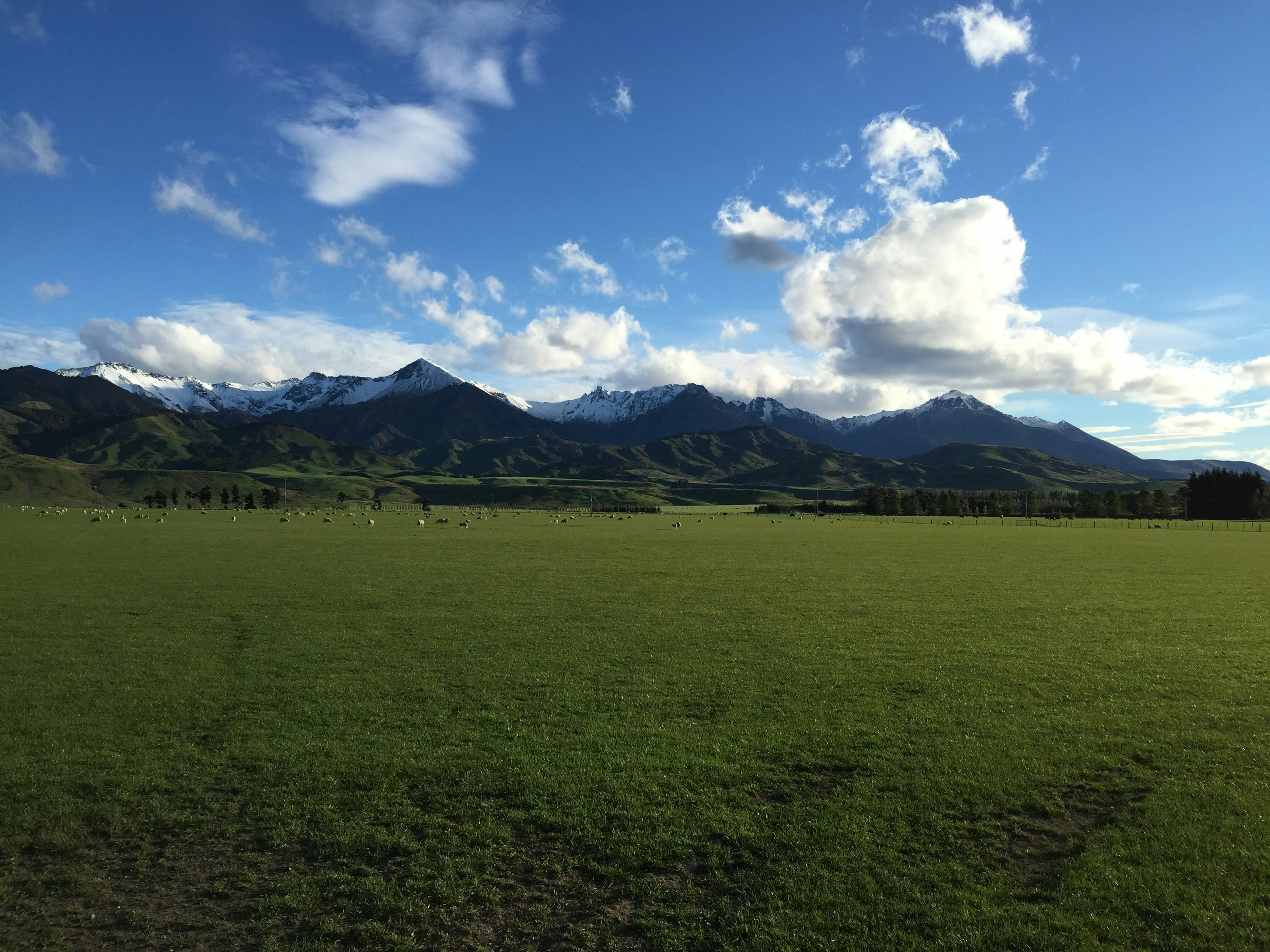 Free Unsplash photo from Steven Cook