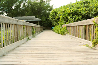 Workers installing a wooden boardwalk in a lush outdoor setting.