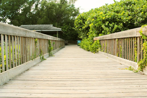 Workers installing a wooden boardwalk in a lush outdoor setting.