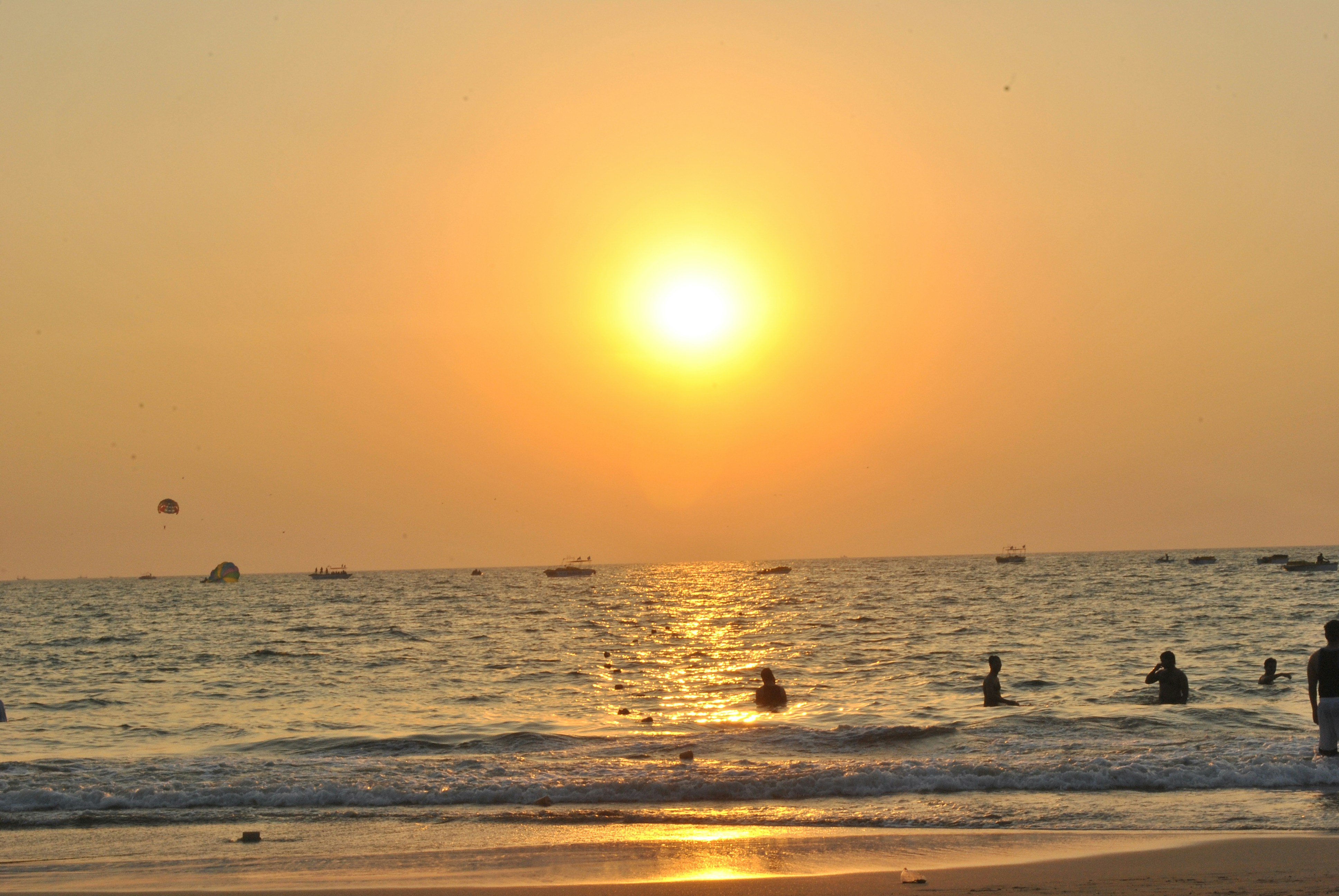 Free Unsplash photo from Parveen Kumar