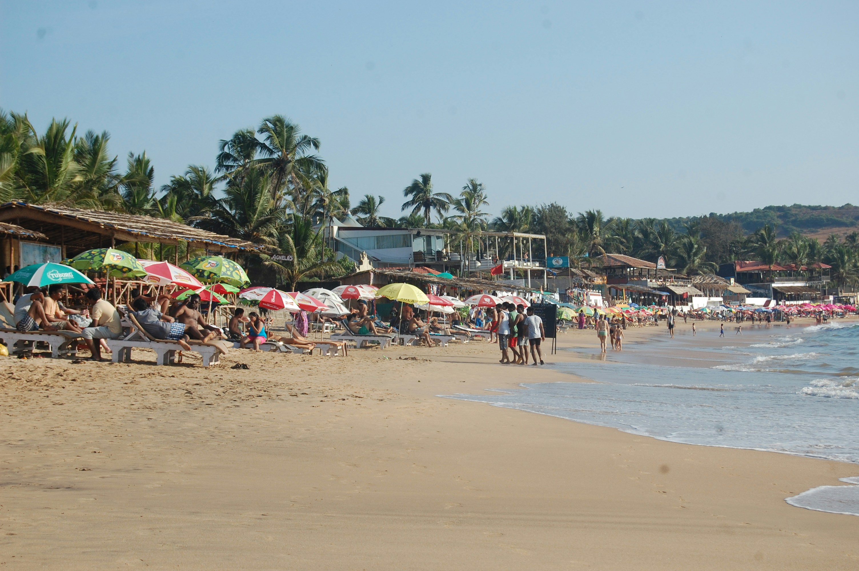 Free Unsplash photo from Parveen Kumar