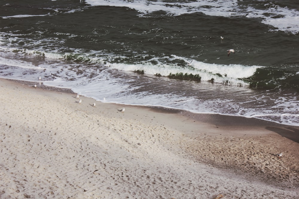 landscape photo of ocean and white seashore